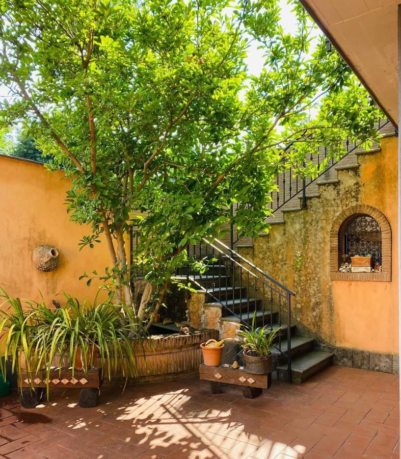 Villa Mariposa Nettuno Exterior photo