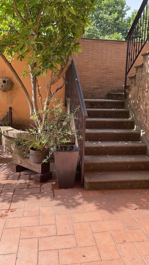 Villa Mariposa Nettuno Exterior photo